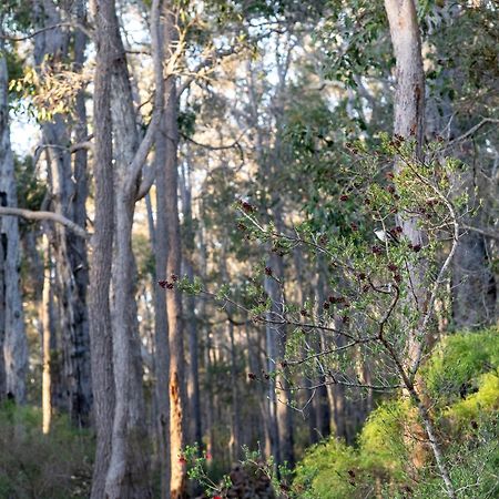 Jarrah Grove Forest Retreat - Adults Only Luxury Chalet Rosa Glen Exterior photo