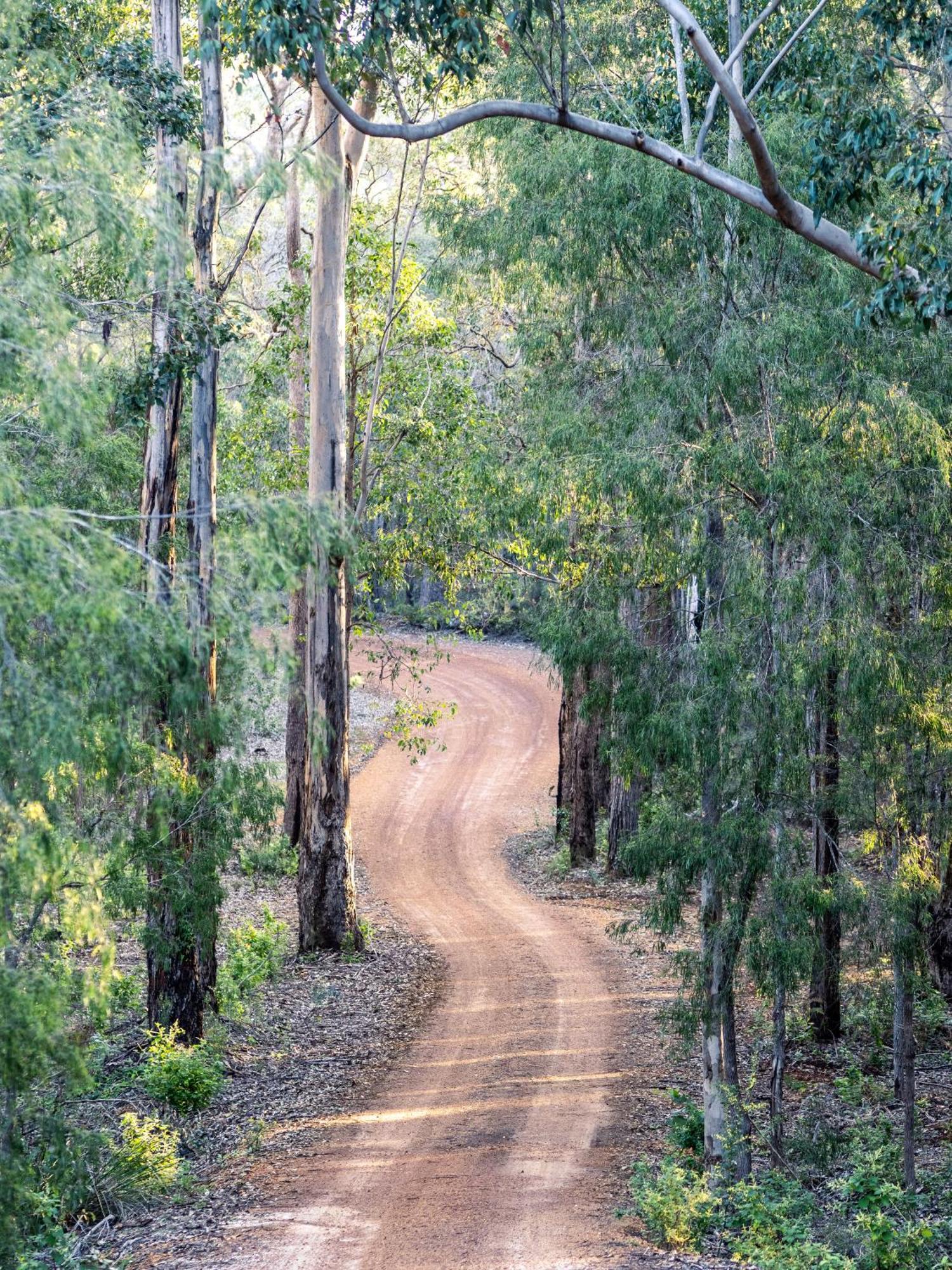 Jarrah Grove Forest Retreat - Adults Only Luxury Chalet Rosa Glen Exterior photo
