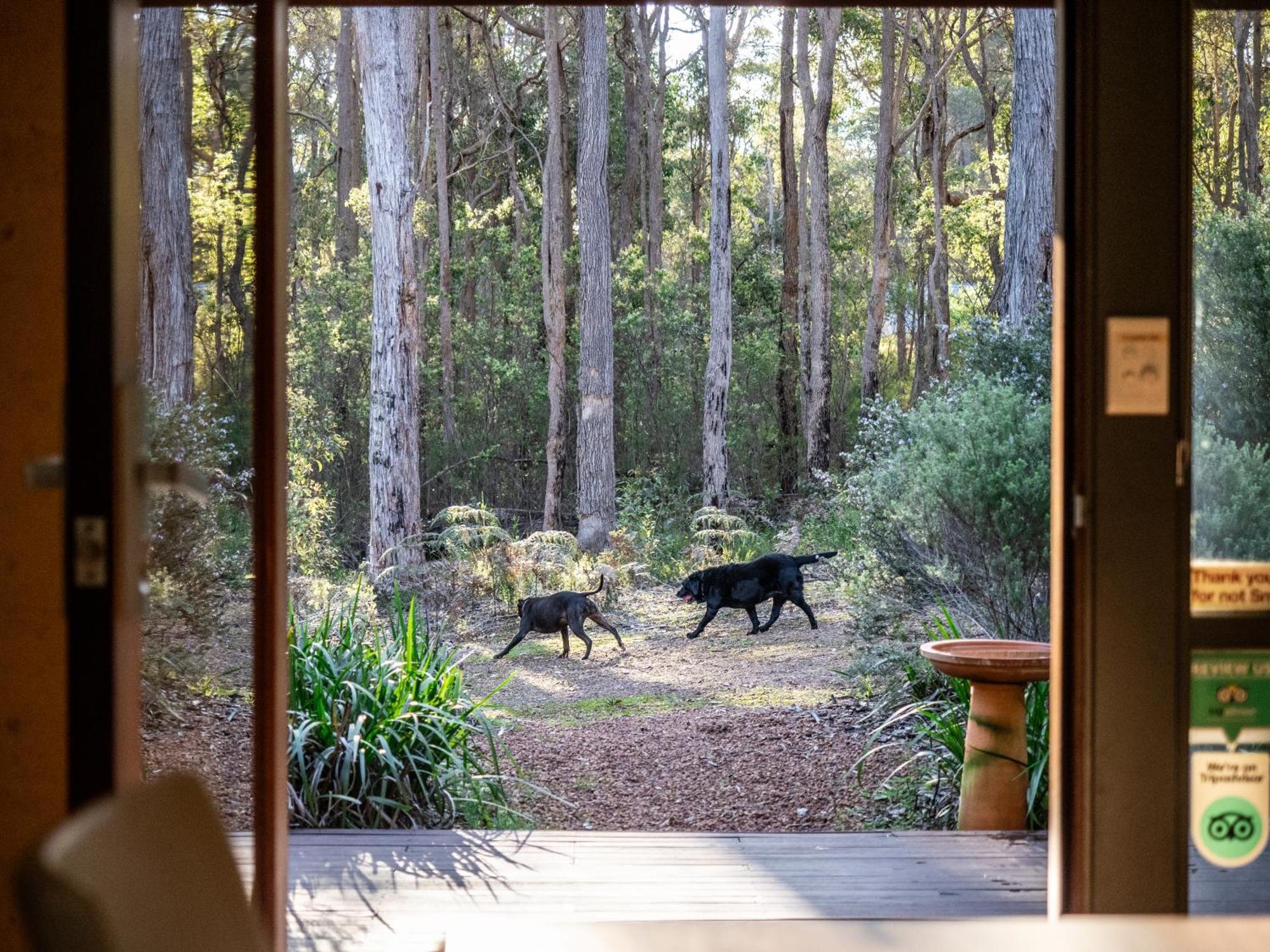 Jarrah Grove Forest Retreat - Adults Only Luxury Chalet Rosa Glen Exterior photo